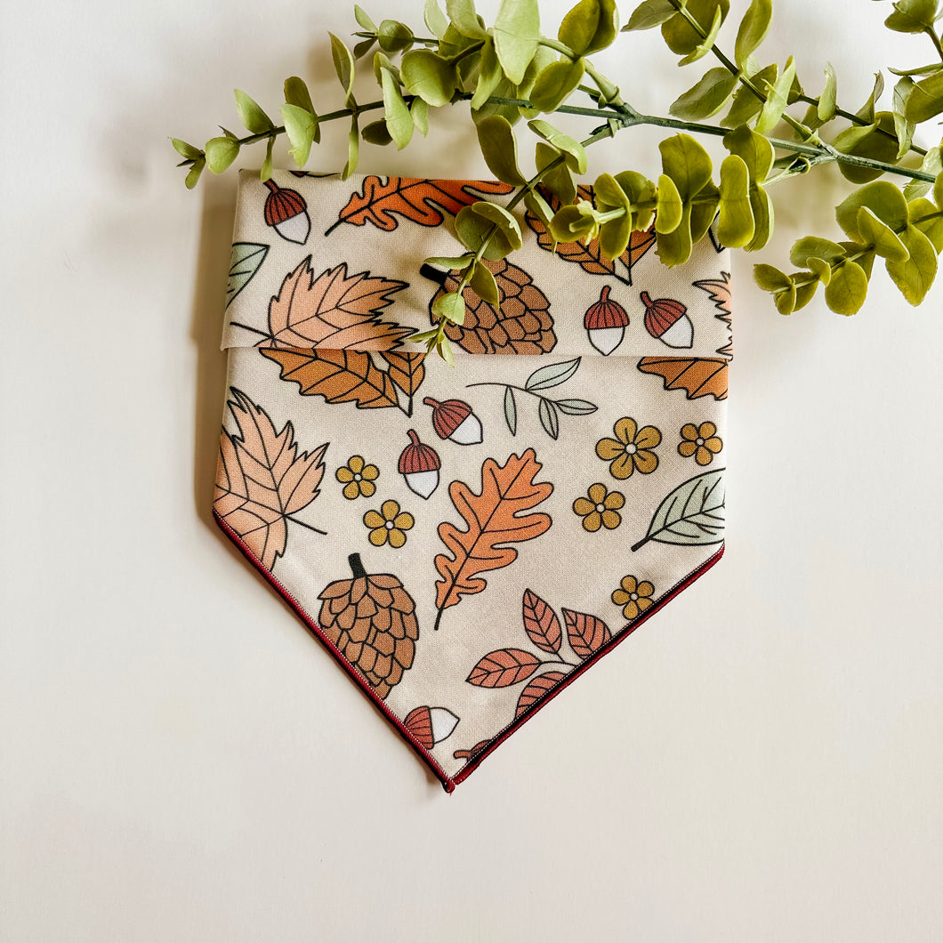ACORN ADVENTURES