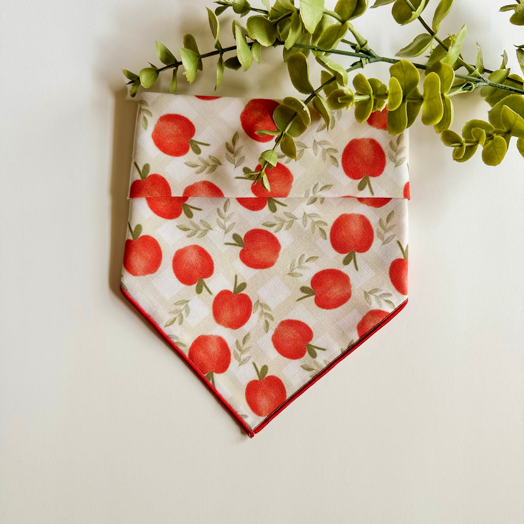 CANDY APPLE
