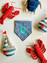 Load image into Gallery viewer, COASTAL DENIM ICONS
