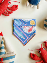 Load image into Gallery viewer, CAPRI CUTIE (BLUE)
