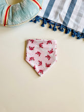 Load image into Gallery viewer, CRABBY CUTIE SWIM/COOLING
