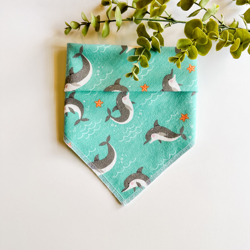 DOLPHINS