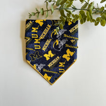 Load image into Gallery viewer, UofM
