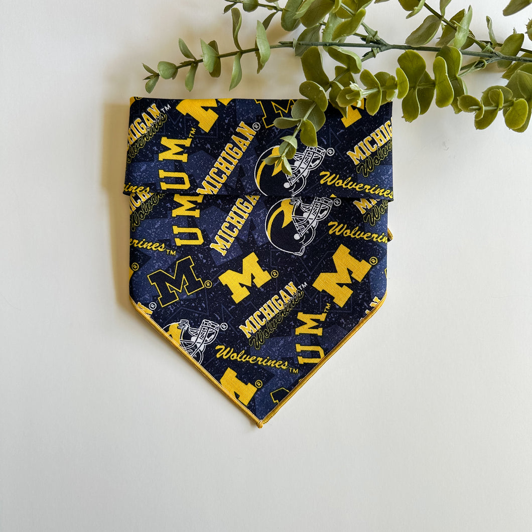 UofM