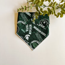 Load image into Gallery viewer, MICHIGAN STATE
