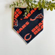 Load image into Gallery viewer, CHICAGO BEARS
