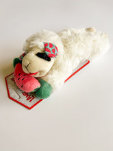 Load image into Gallery viewer, WATERMELON LAMBCHOP 6" DOG TOY
