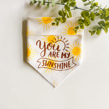 Load image into Gallery viewer, SUNSHINE
