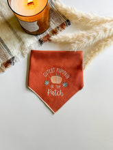 Load image into Gallery viewer, CUTEST PUMPKIN
