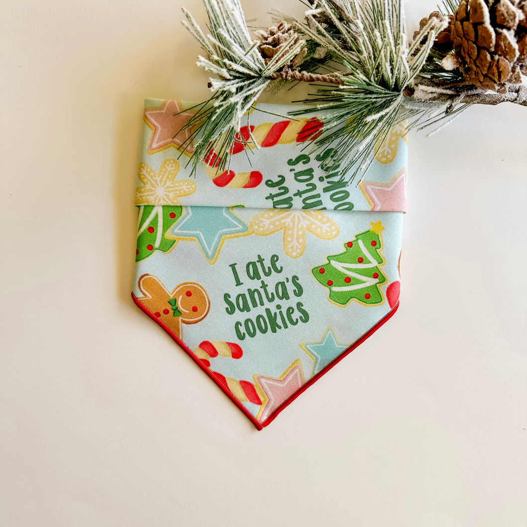 I ATE SANTA’S COOKIES