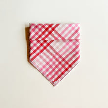 Load image into Gallery viewer, PINK PLAID
