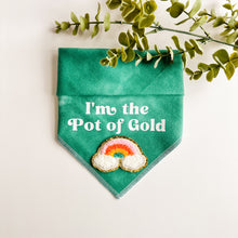 Load image into Gallery viewer, POT OF GOLD (GREEN)
