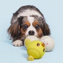 Load image into Gallery viewer, BARK PLAY HATCH TENNIS BALLS DOG TOY
