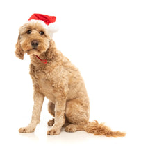 Load image into Gallery viewer, Pet Santa Hat
