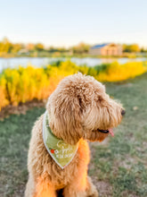 Load image into Gallery viewer, APPLE ORCHARD
