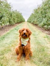 Load image into Gallery viewer, APPLE ORCHARD
