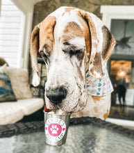 Load image into Gallery viewer, VALENTINE&#39;S DAY PUP CUP
